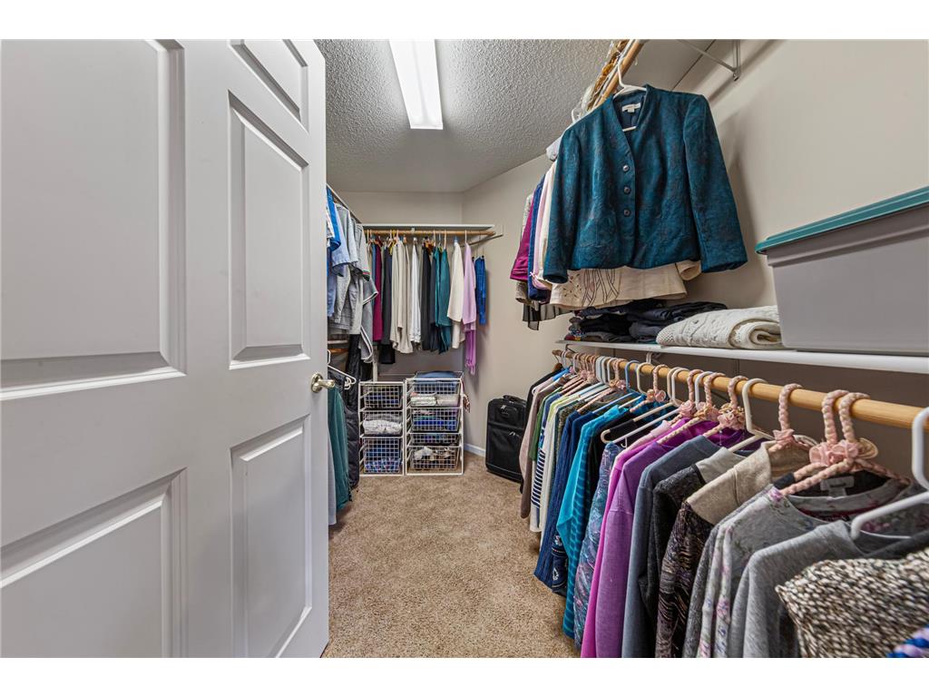 1517 Waters Edge Circle Northfield MN 55057 7052153 image17