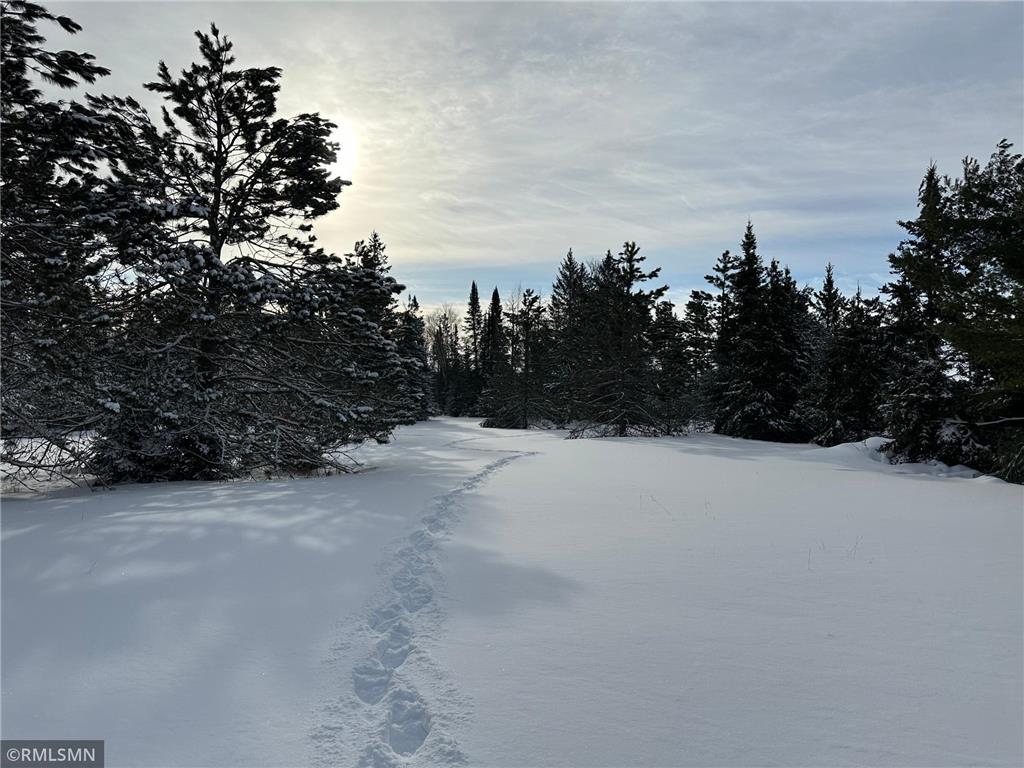 15170 480th Street Tamarack MN 55787 6352964 image1