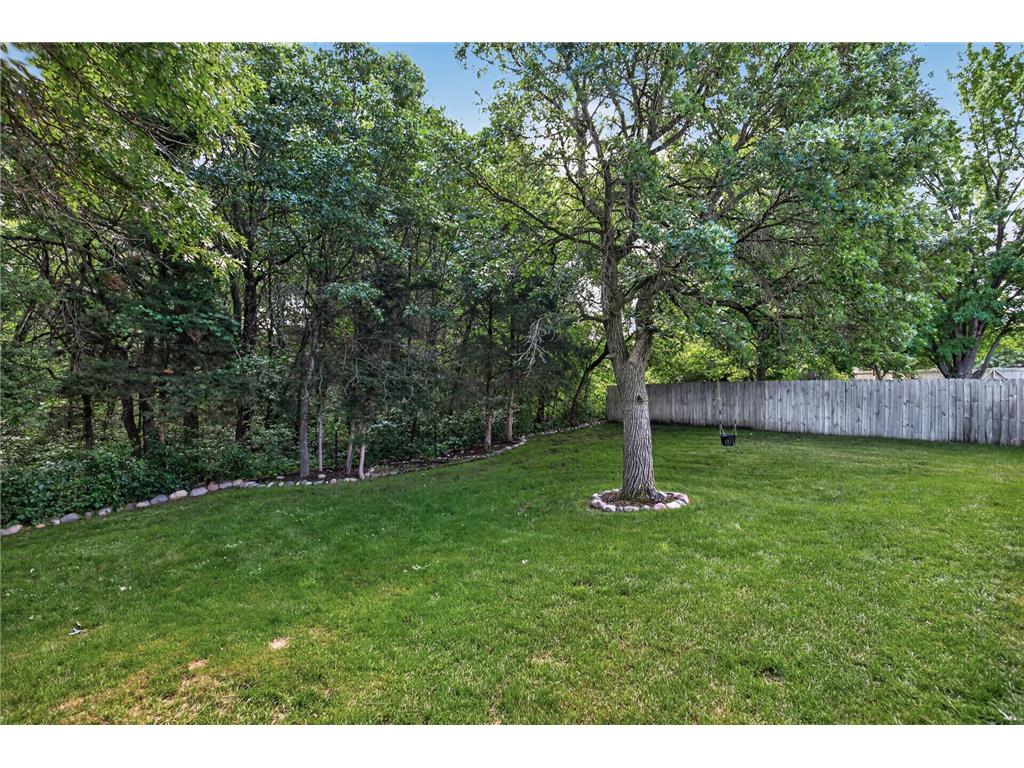 15171 Quicksilver Street NW Ramsey MN 55303 7093818 image42
