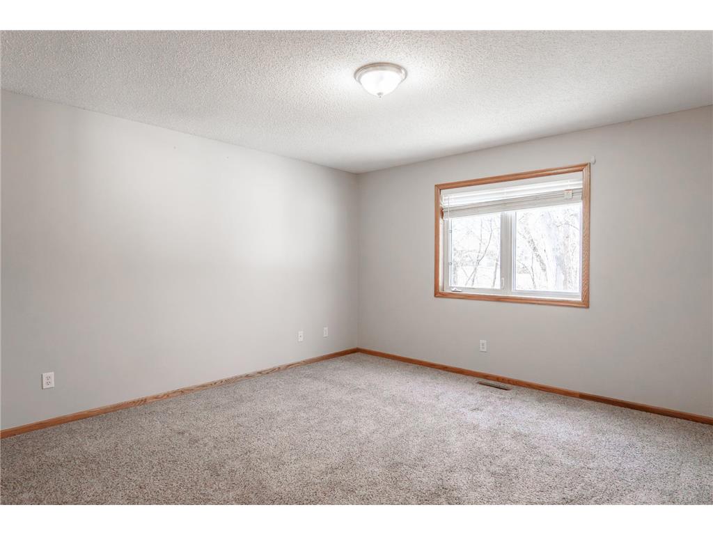 15174 Cates Lake Drive Savage MN 55372 7009838 image6