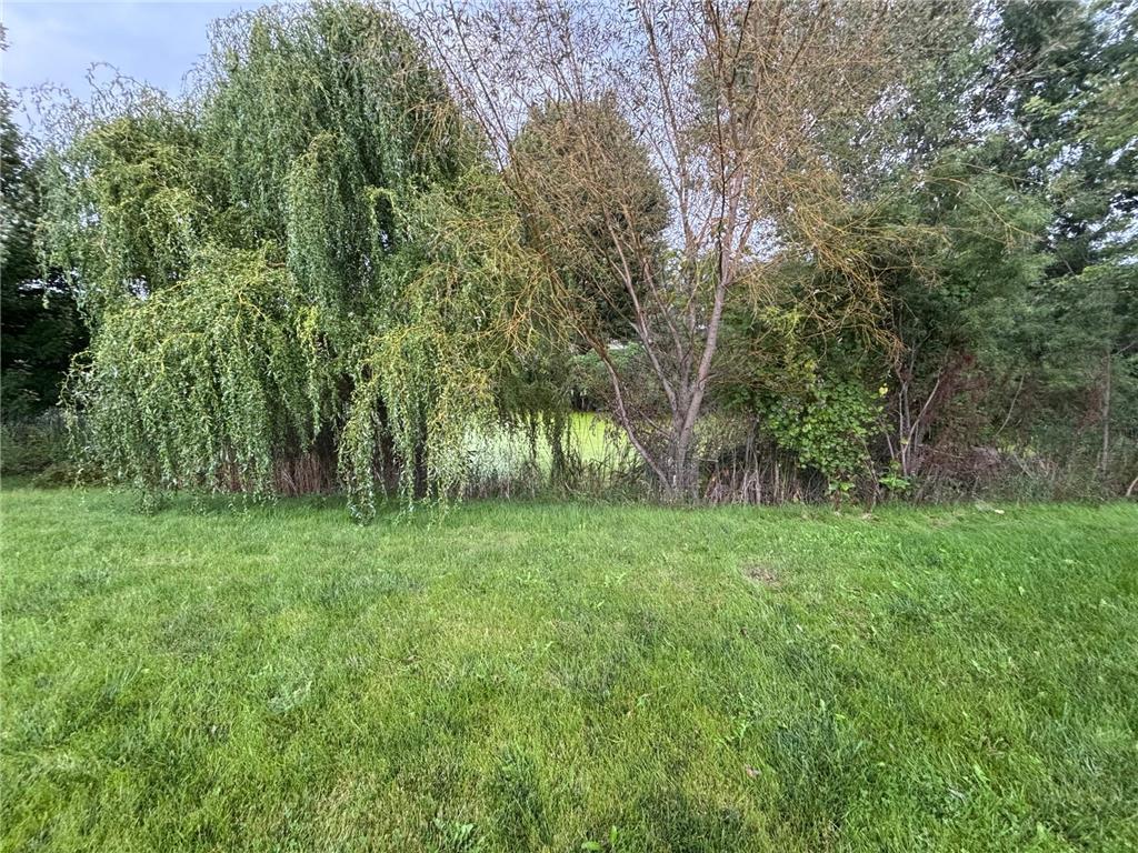 1518 Hidden Trail Mayer MN 55360 6783043 image7