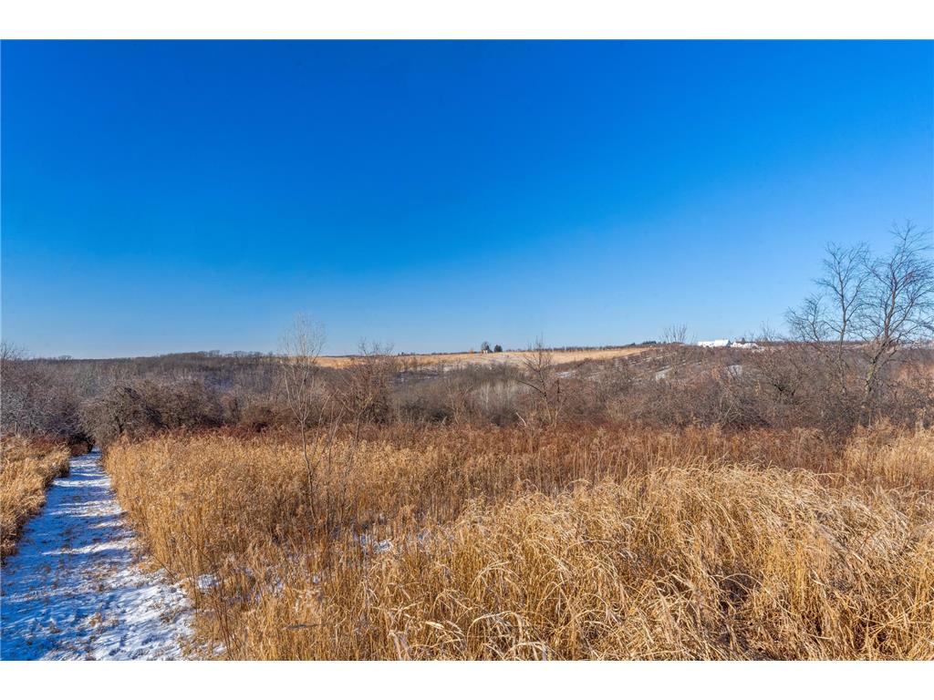 1519 Ambrosia Court La Crescent MN 55947 6649351 image1