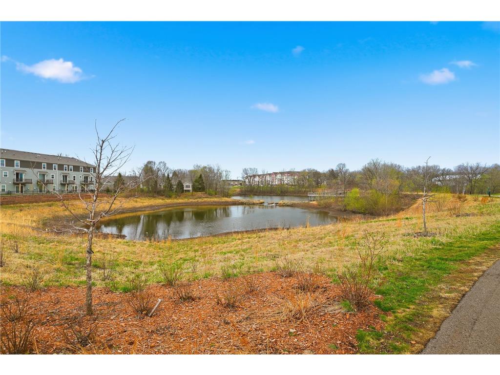 1519 Timberwood Lane West Saint Paul MN 55118 7053869 image29