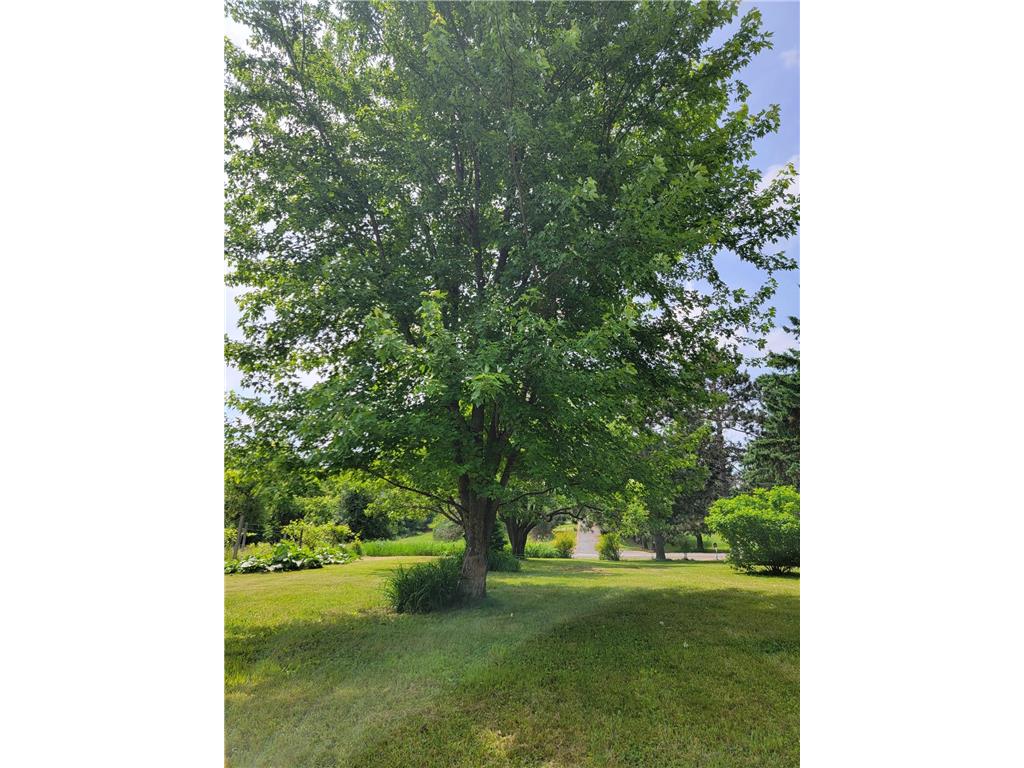 15190 240th Street N Scandia MN 55073 7091636 image28