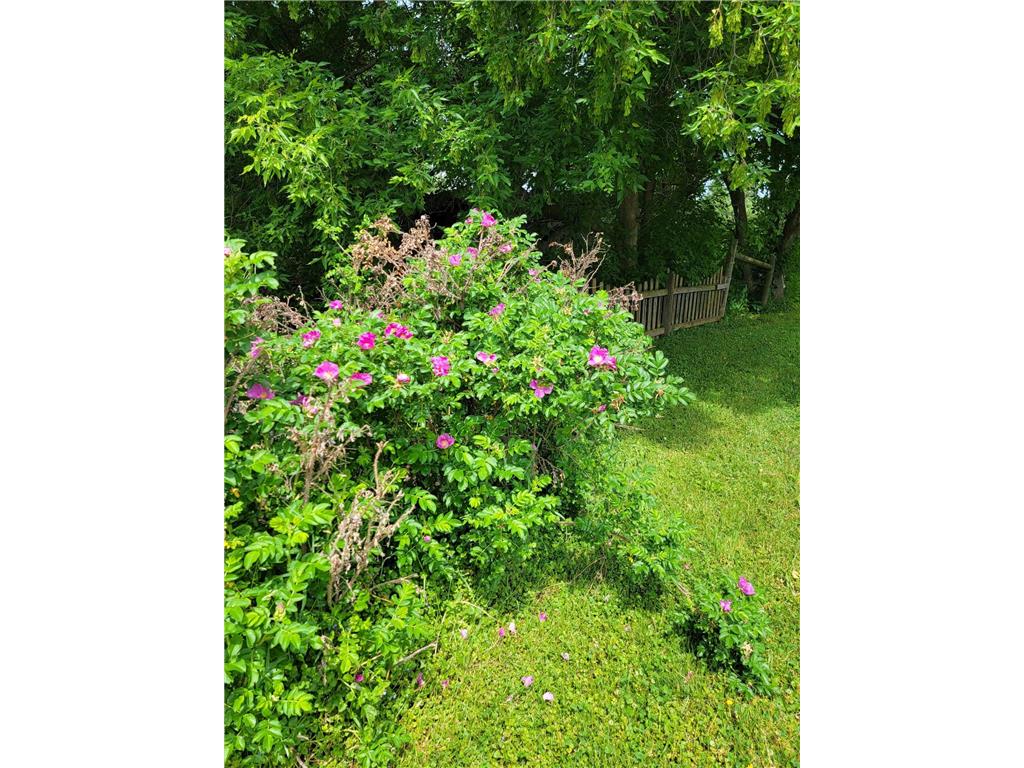 15190 240th Street N Scandia MN 55073 7091636 image49