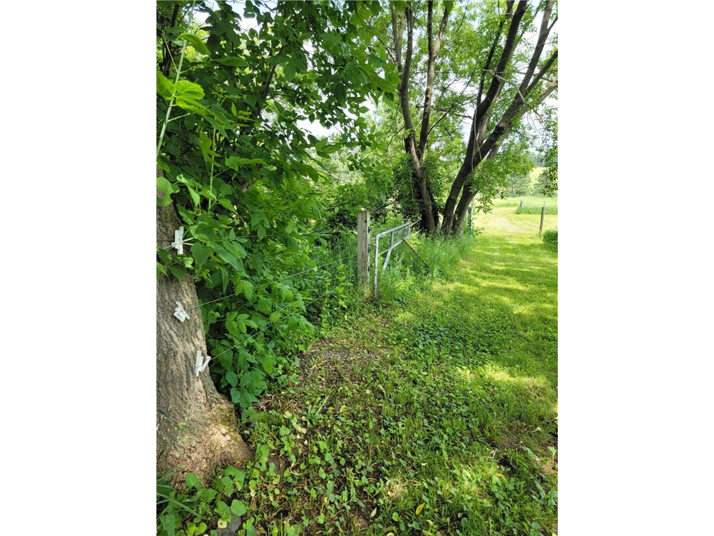 15190 240th Street N Scandia MN 55073 7091636 image51