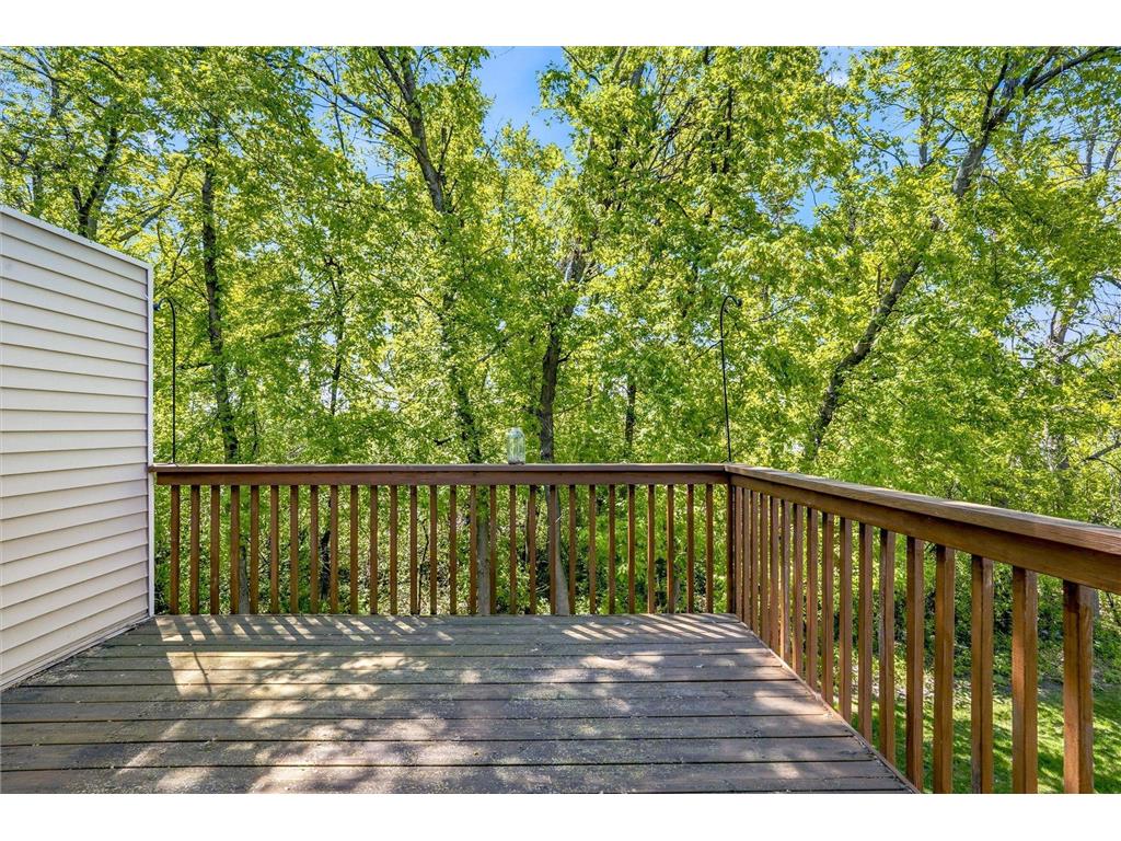 152 Pheasant Ridge Drive Montrose MN 55363 7061933 image16