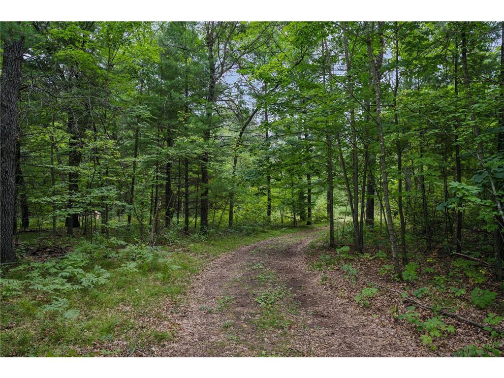 15204 State Road 70 Grantsburg WI 54840 - St Croix River -North Channel 6757439 image4