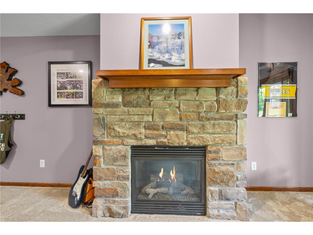 15221 Stonewood Terrace Burnsville MN 55306 7076291 image36
