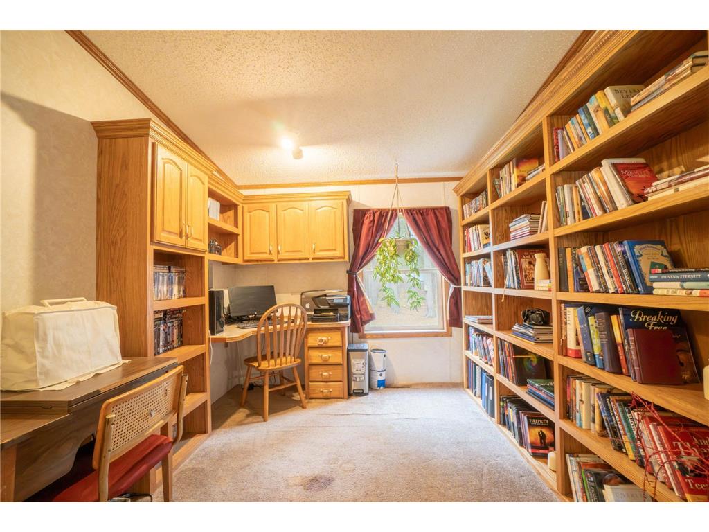 15229 County Road 13 Red Eye Twp MN 56464 6803650 image20