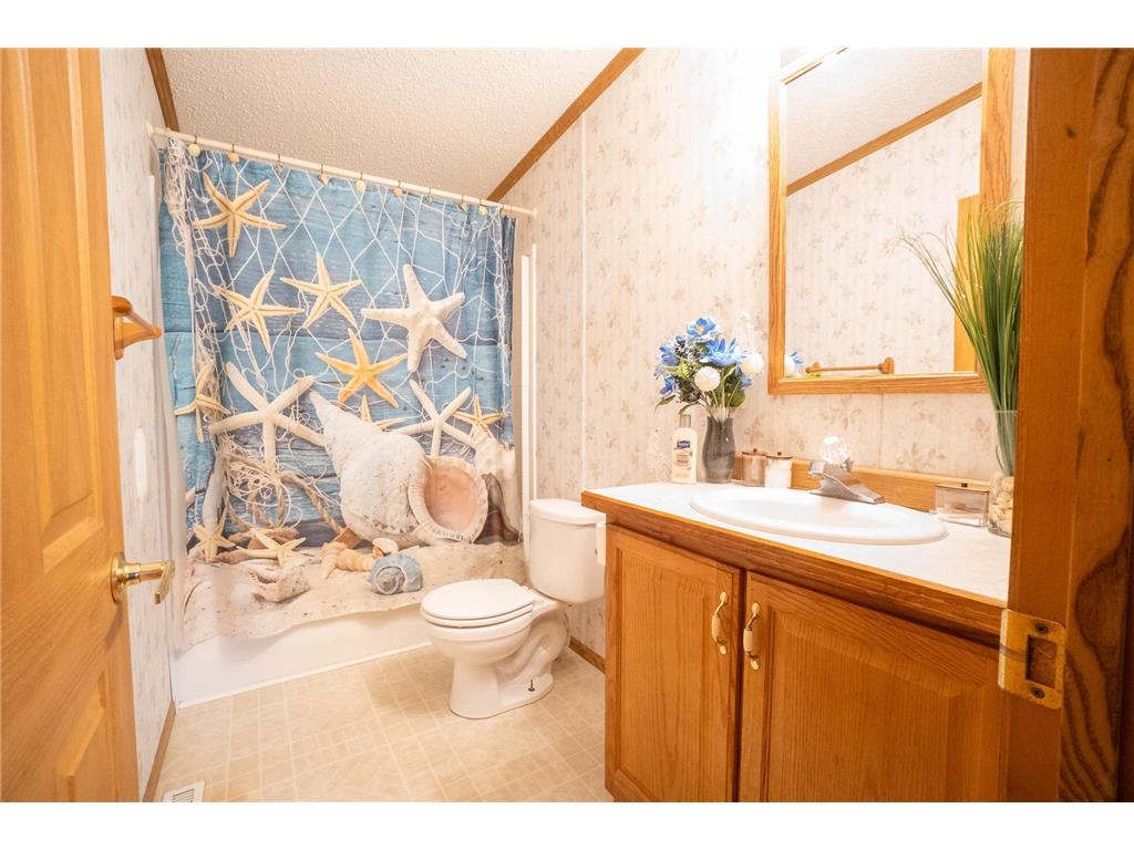 15229 County Road 13 Red Eye Twp MN 56464 6803650 image21