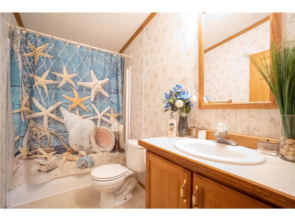 15229 County Road 13 Red Eye Twp MN 56464 6803650 image22