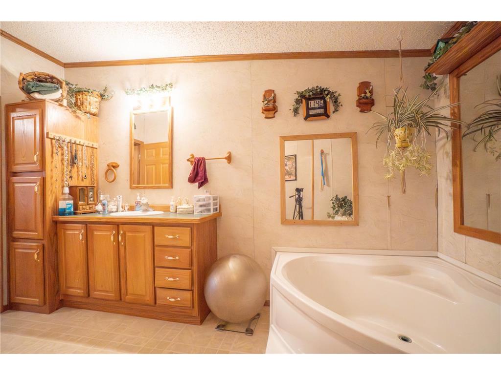 15229 County Road 13 Red Eye Twp MN 56464 6803650 image33