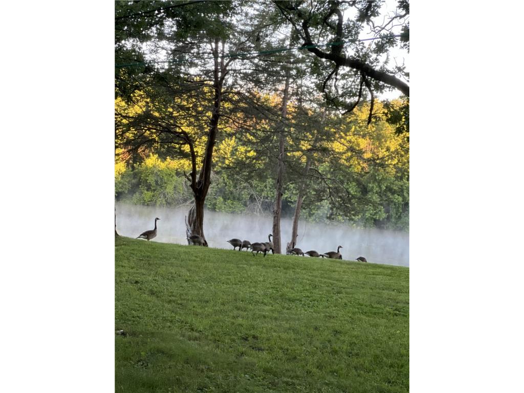 1523 Cedar Lane Newport MN 55055 - Mississippi 6794412 image29