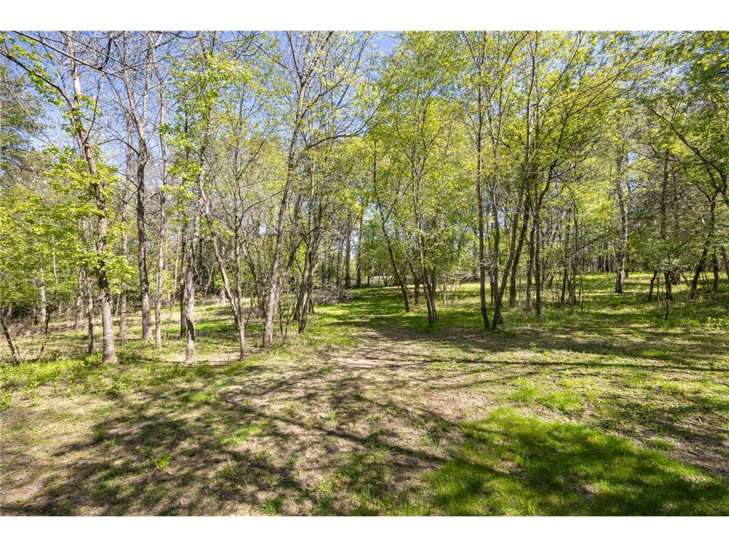 15234 50th Street S Afton MN 55001 7086620 image31