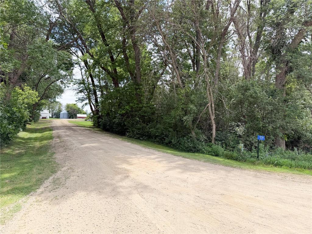 15236 King Avenue Wilmont MN 56185 7094765 image3