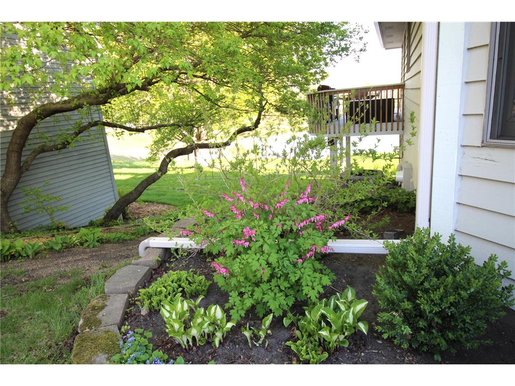 1524 Creek Lane Northfield MN 55057 7081780 image12