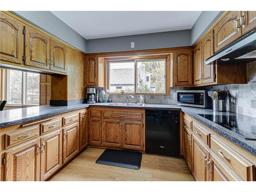 1525 Saint Croix Circle Golden Valley MN 55422 7086686 image17