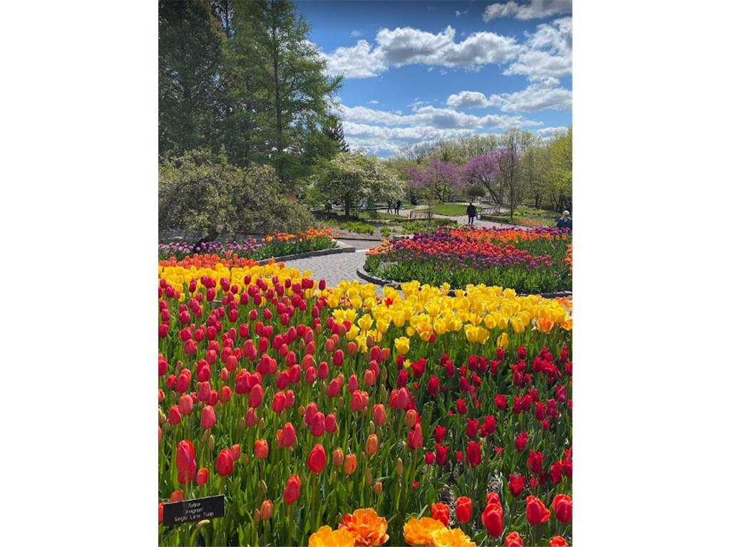 1526 Clover Preserve Way Chaska MN 55318 6761941 image58