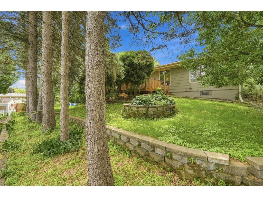 1527 E Windemere Circle NE Fridley MN 55421 7104755 image30