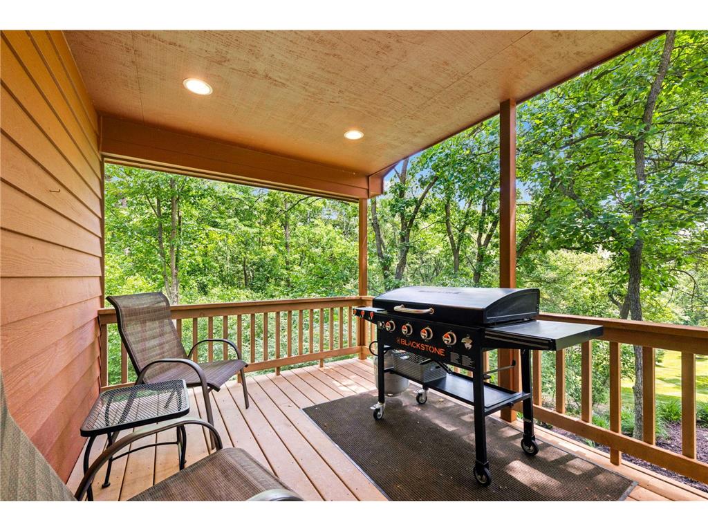 1527 Heron Lane Somerset WI 54025 7082976 image33