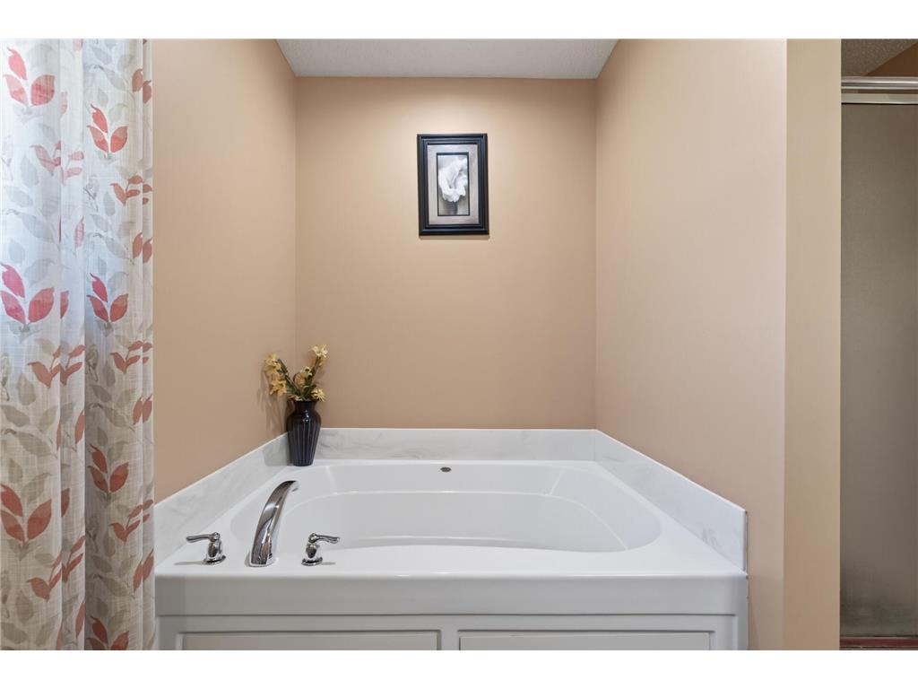 15275 Plumstone Drive Eden Prairie MN 55347 7063279 image23