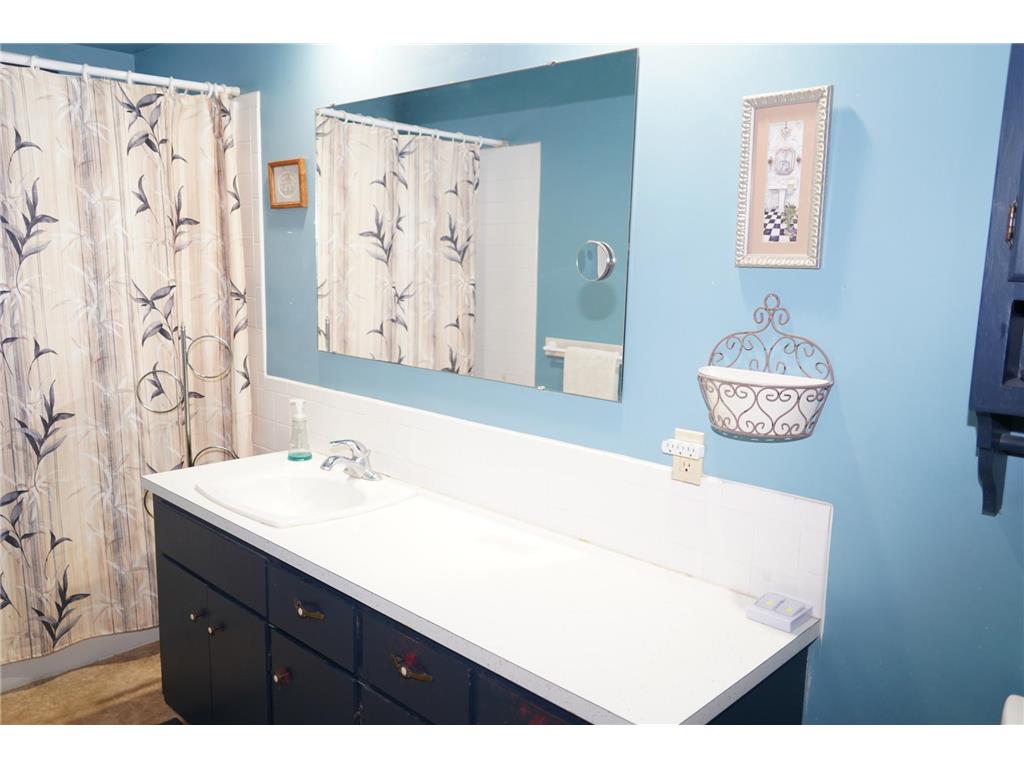 1528 W 6th Street Red Wing MN 55066 6820862 image17