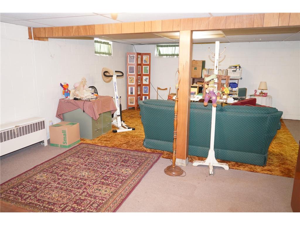 1528 W 6th Street Red Wing MN 55066 6820862 image25