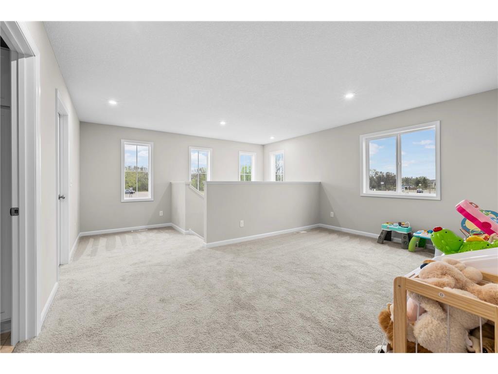 1529 100th Avenue NW Coon Rapids MN 55433 7017295 image33