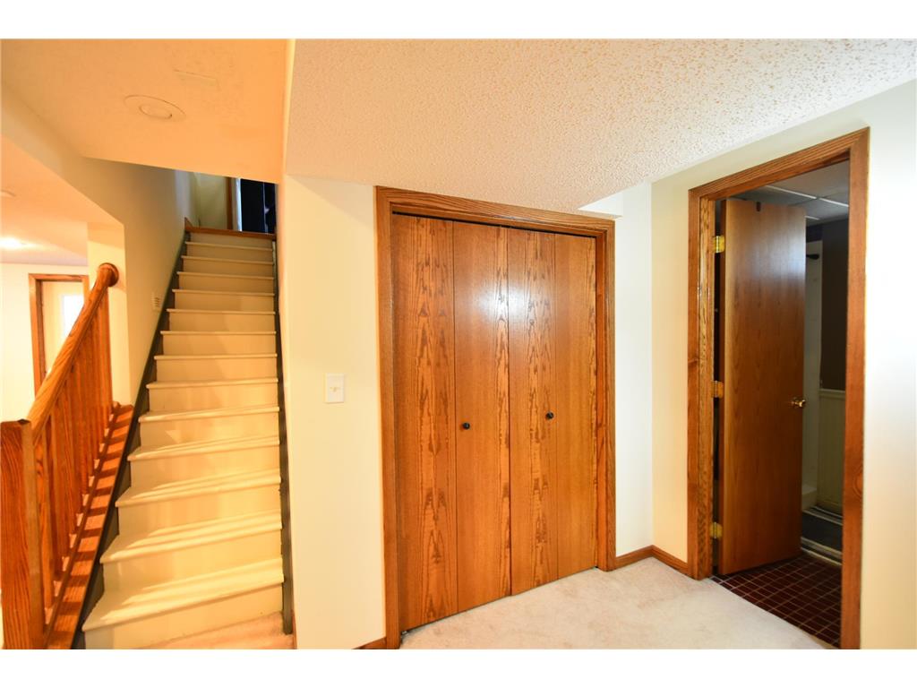 1529 East Avenue Red Wing MN 55066 7045162 image35