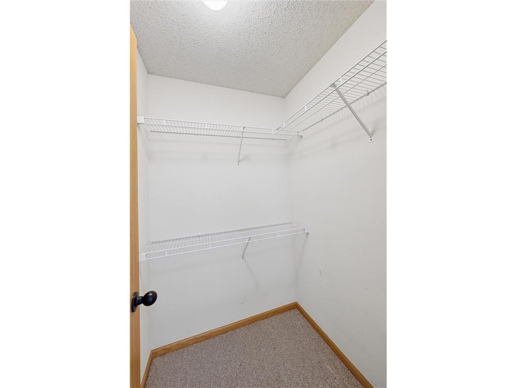 153 Pheasant Ridge Drive Montrose MN 55363 7045751 image26