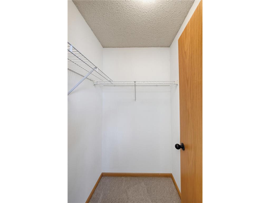 153 Pheasant Ridge Drive Montrose MN 55363 7045751 image28
