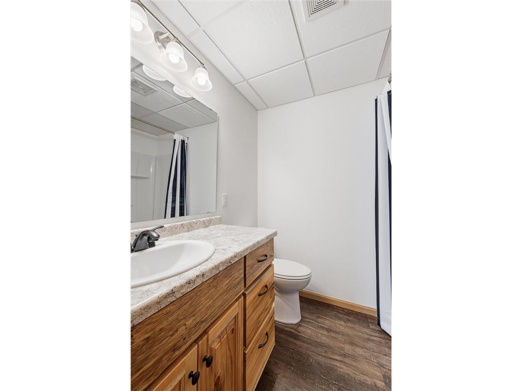 153 Pheasant Ridge Drive Montrose MN 55363 7045751 image37