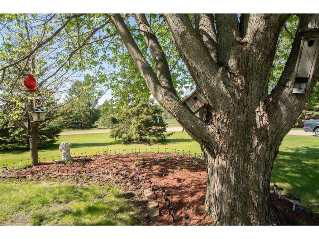 1530 12th Street SW Compton Twp MN 56482 7083890 image34