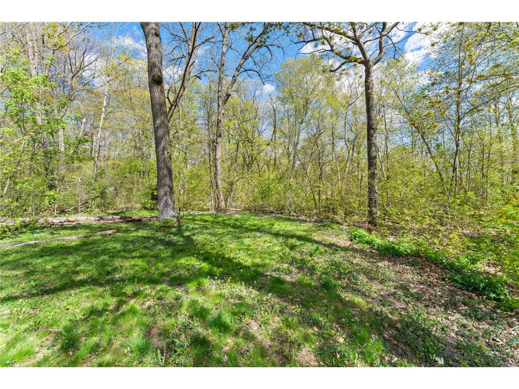 15312 Bison Road Swanville MN 56382 7054552 image48
