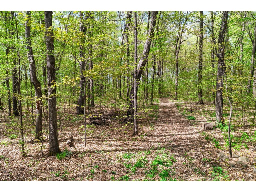 15312 Bison Road Swanville MN 56382 7054552 image60
