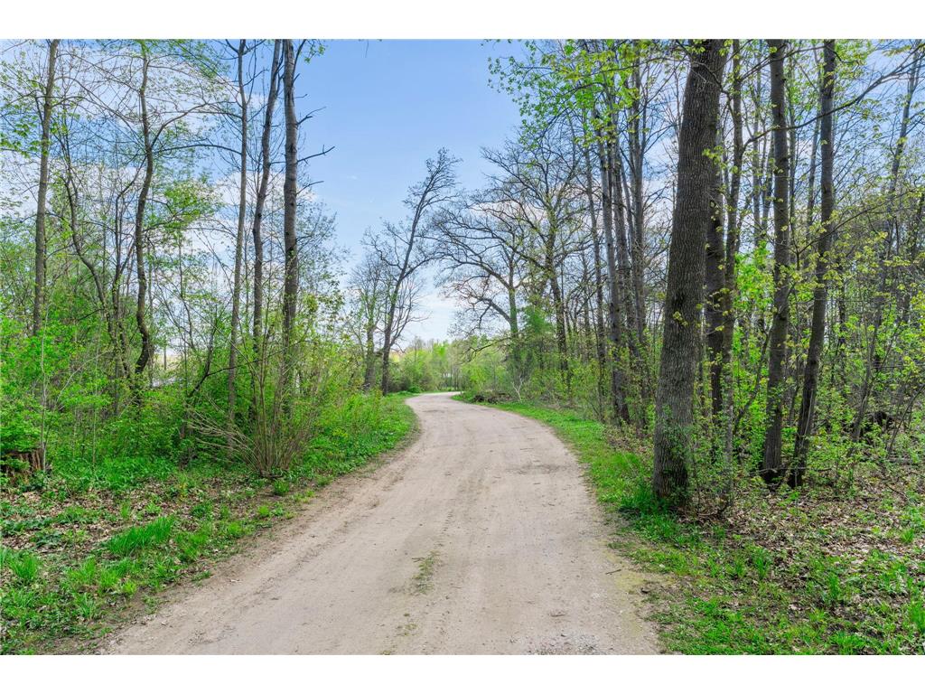 15312 Bison Road Swanville MN 56382 7054552 image61