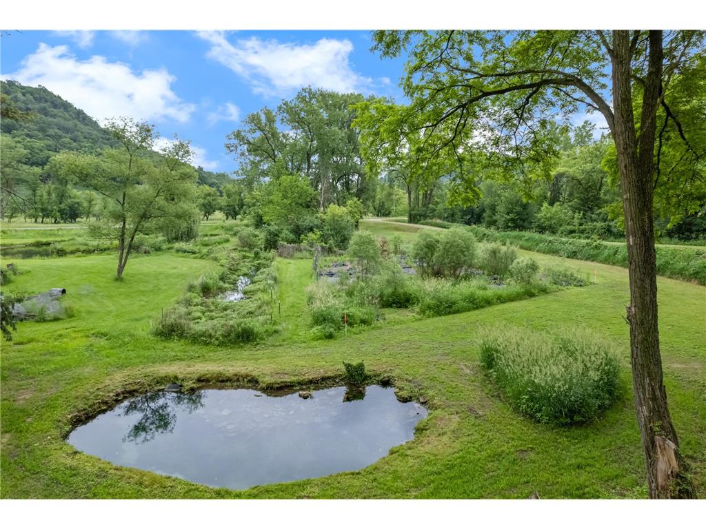15315 County Road 25 Mount Vernon Twp MN 55969 7090562 image30