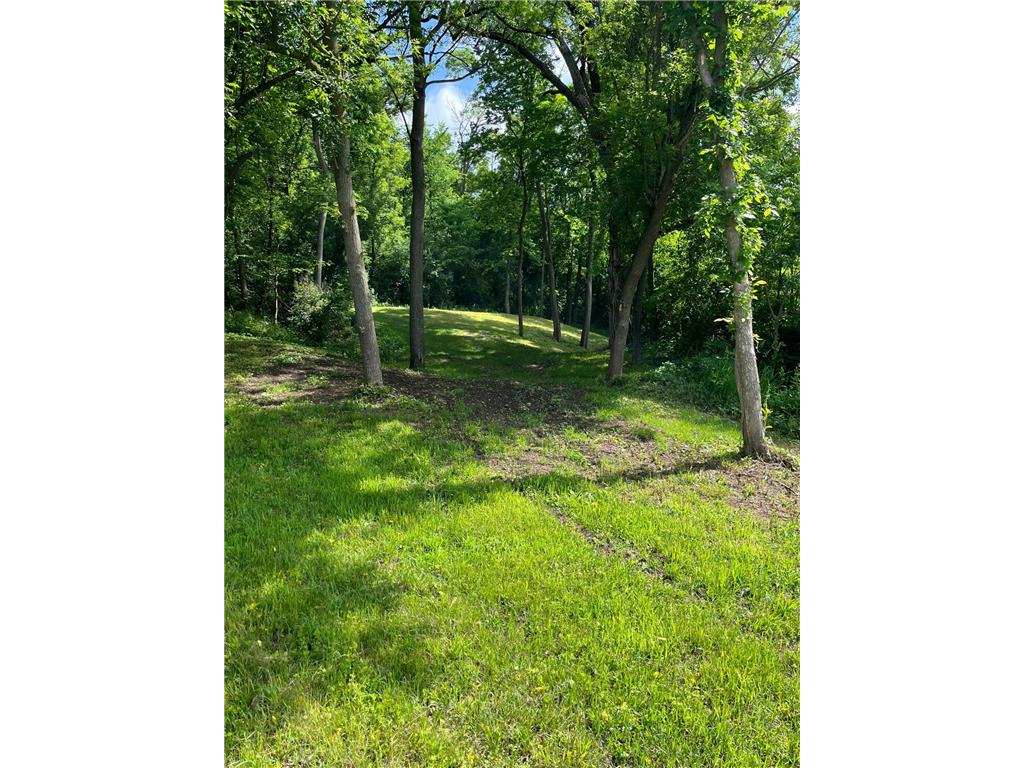 15315 County Road 25 Mount Vernon Twp MN 55969 7090562 image34
