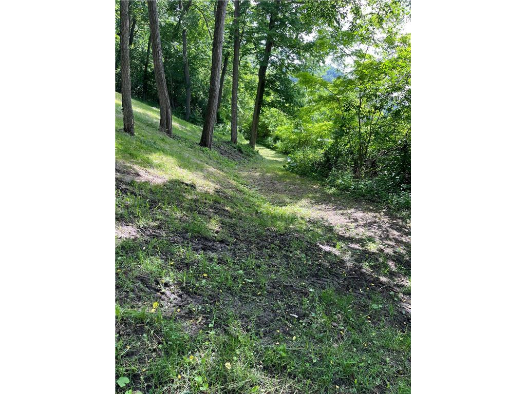 15315 County Road 25 Mount Vernon Twp MN 55969 7090562 image35