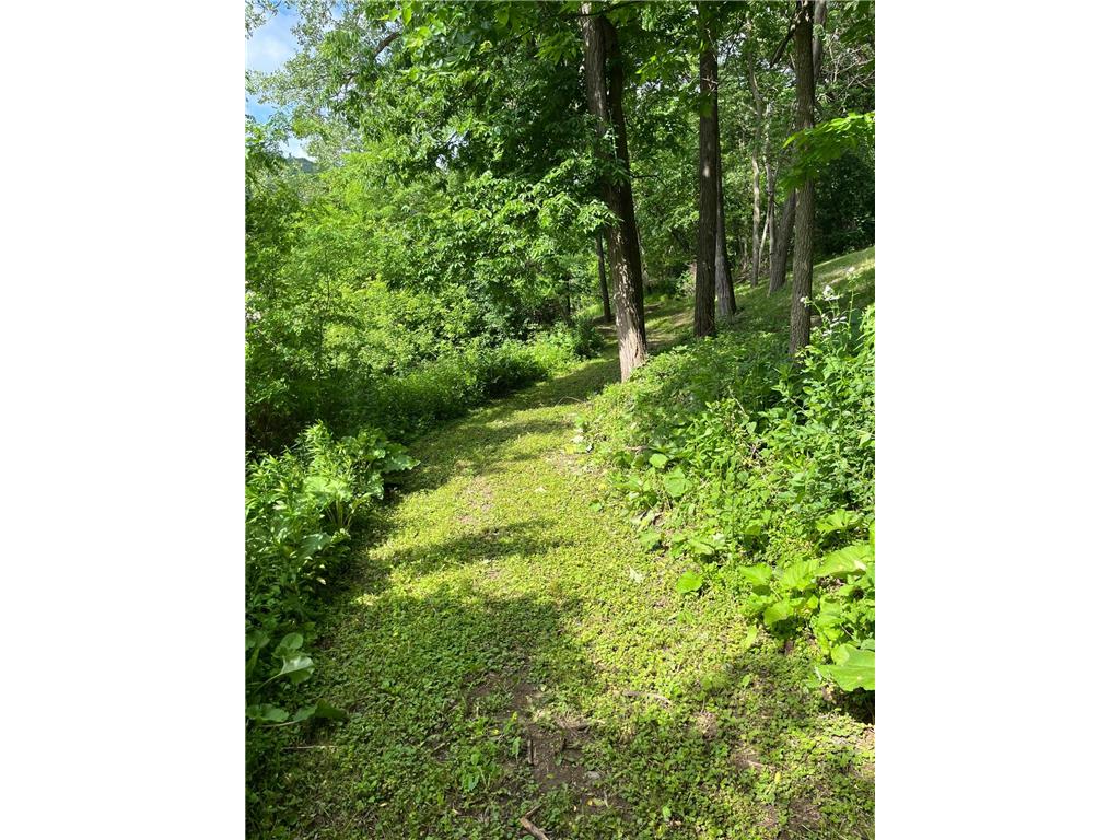 15315 County Road 25 Mount Vernon Twp MN 55969 7090562 image38