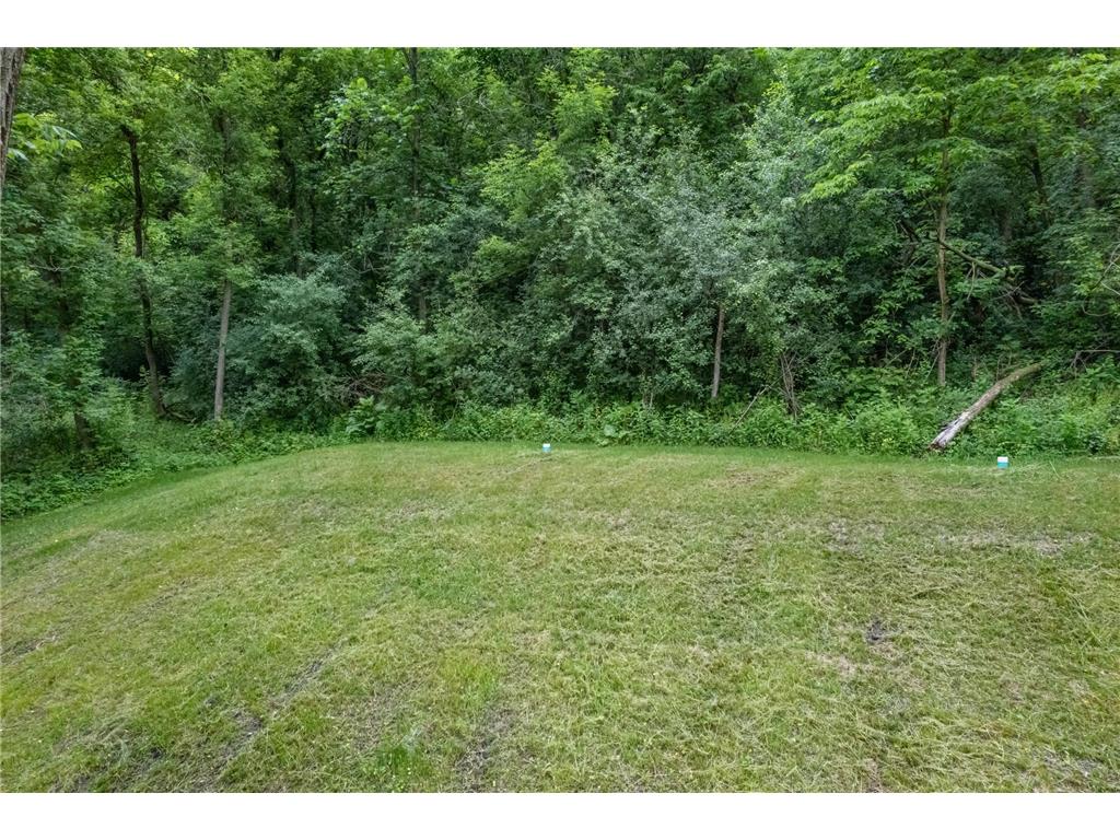 15315 County Road 25 Mount Vernon Twp MN 55969 7090562 image40