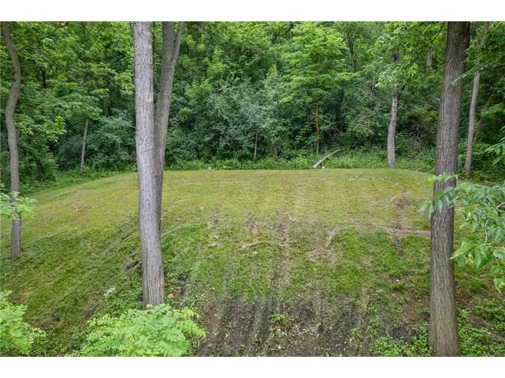 15315 County Road 25 Mount Vernon Twp MN 55969 7090562 image41