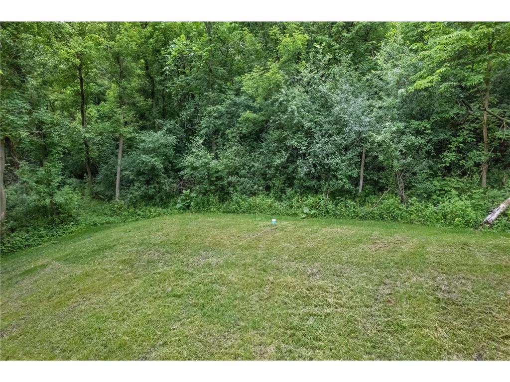 15315 County Road 25 Mount Vernon Twp MN 55969 7090562 image42
