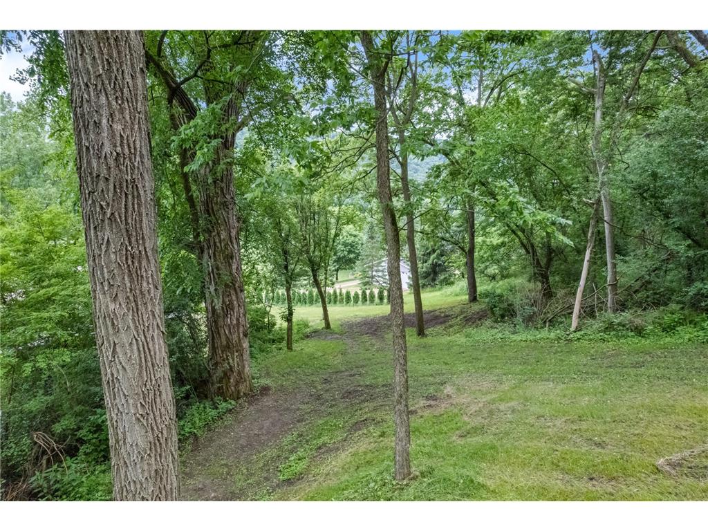 15315 County Road 25 Mount Vernon Twp MN 55969 7090562 image43