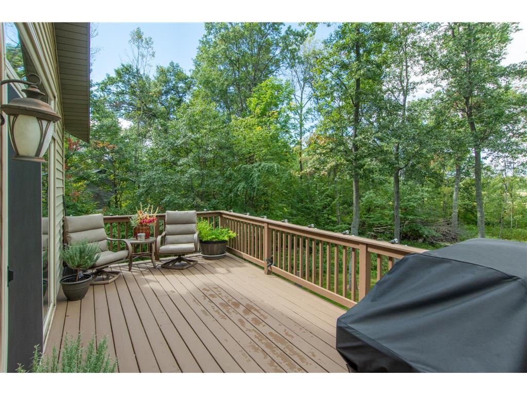 15321 Shellisa Lane Baxter MN 56425 7079534 image4