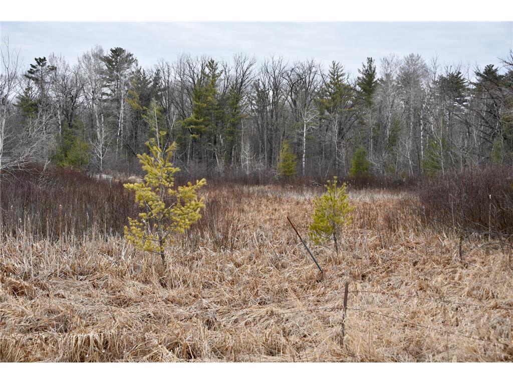 15324 61st Avenue Milaca MN 56353 6700383 image24