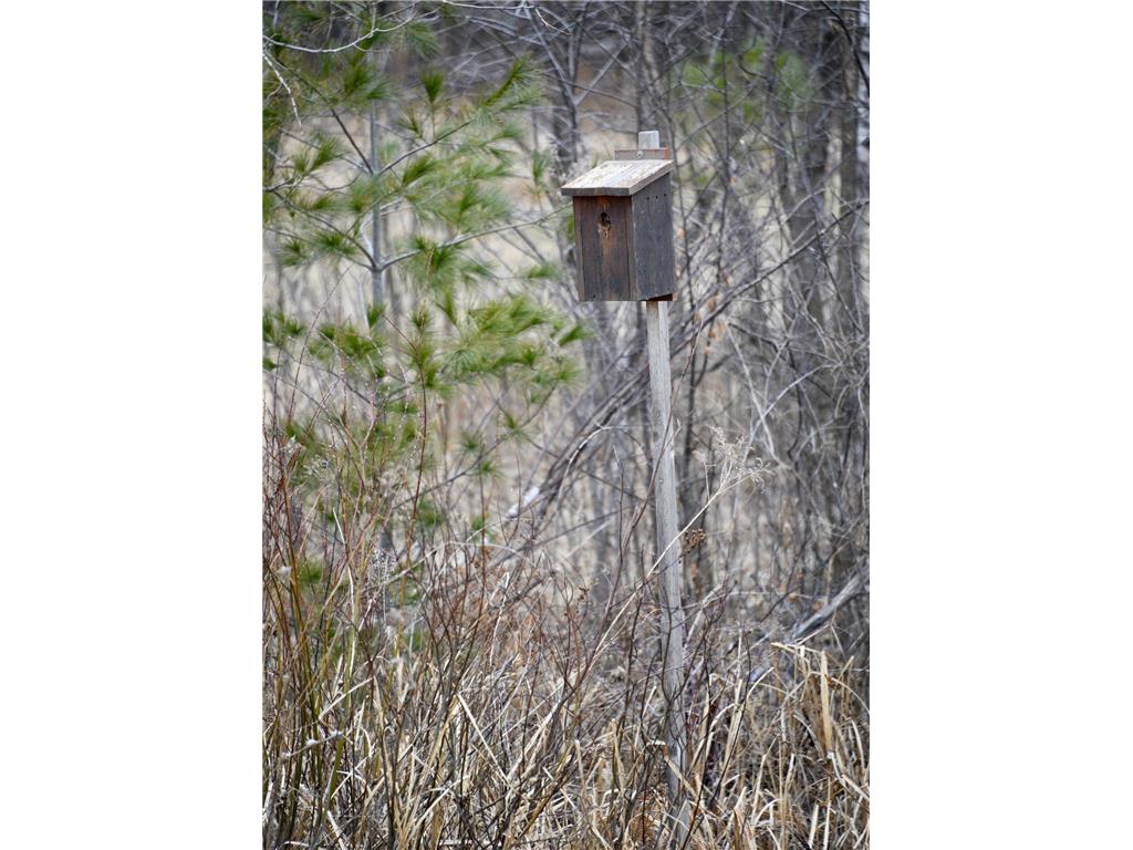 15324 61st Avenue Milaca MN 56353 6700383 image26