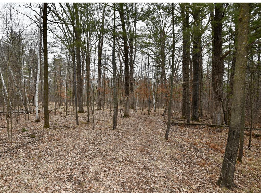 15324 61st Avenue Milaca MN 56353 6700383 image32