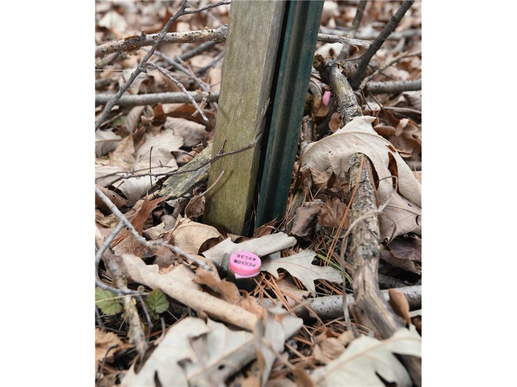 15324 61st Avenue Milaca MN 56353 6700383 image34